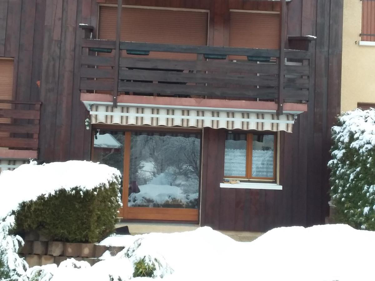 Charmant Duplex De 45M², 2 Chambres, Jardin, Garage, Villard-De-Lans - Fr-1-515-51 Екстериор снимка